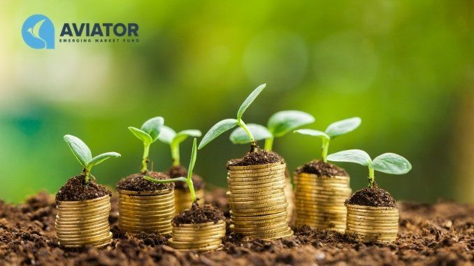 Aviator EMF strengthens investments in Indian NBFCs - Digpu News